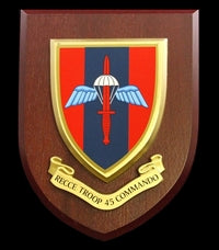 Recce Troop - 45 Commando RM - Wall Shield Plaque | MOD Licensed Seller