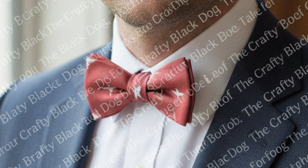 I PARA - Bow Tie