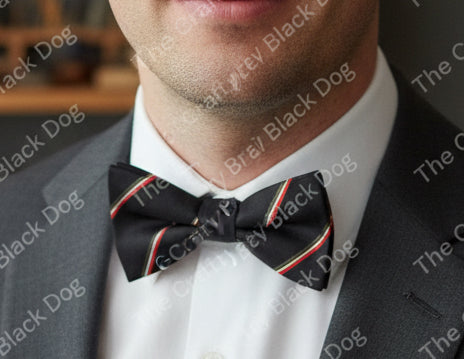 Royal Regiment of Wales - Bow Tie