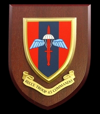 RECCE Troop 45 Commando Royal Marines (RM) Wall Shield Plaque