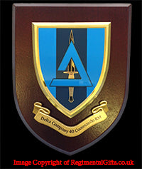 Delta Coy - 40 Commando RM - Wall Shield Plaque | MOD Licensed Seller
