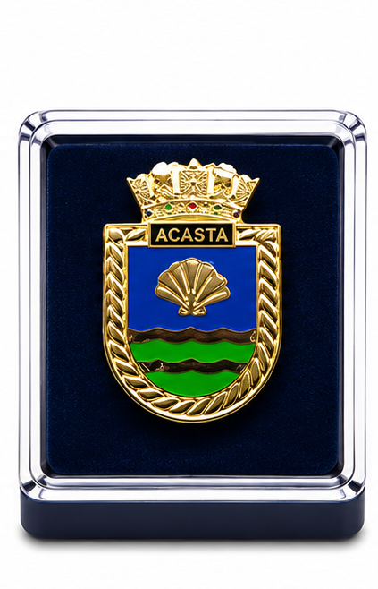 HMS ACASTA - British Military Lapel Pin Badge |  MOD Licensed