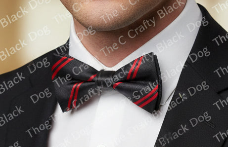 The Duke of Edinburgh's Royal Regiment (Berkshire and Wiltshire) - Bow Tie