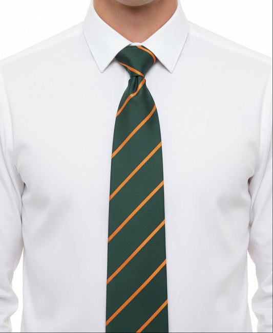 The Devonshire & Dorset Regiment Regimental Tie