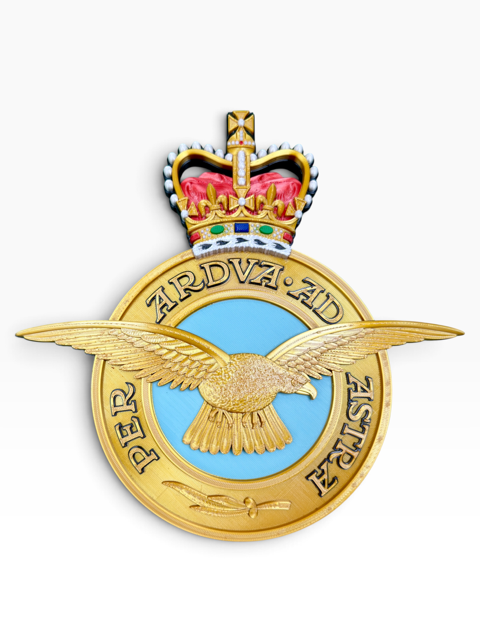 Royal Air Force Emblem – Queen's Crown (MOD Portal Artwork) | Officially Licensed
