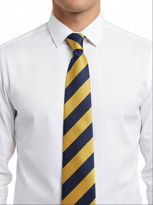 The Prince of Wales' Royal Regiment (PWRR) Regimental Tie