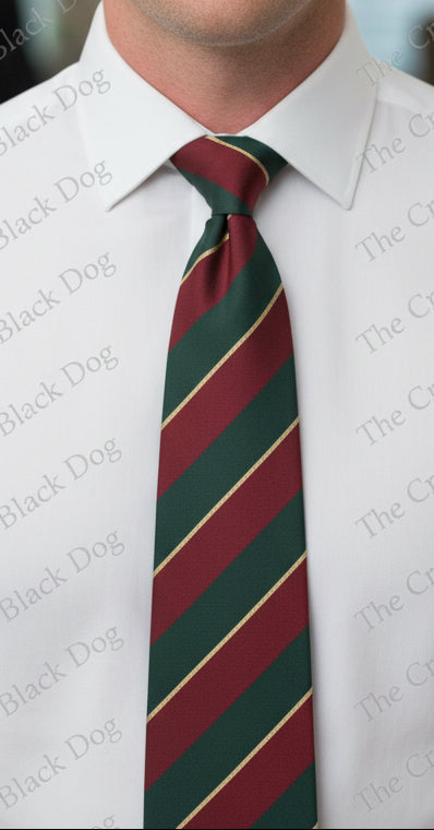 Worcestershire and Sherwood Foresters Regiment - Stripe Tie