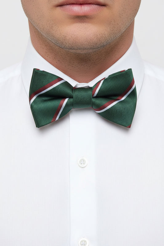 The Staffordshire Regiment Pre-Tied Polyester Bow Tie