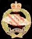 Royal Tank Regiment (RTR) (QC) Lapel Pin 