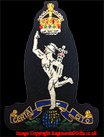 Royal Signals (Royal Corps Of Signals) (RSIGS) Blazer Badge