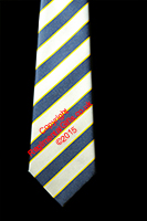 The Queens Regiment Striped Tie