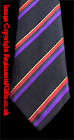 The Royal Hampshire Regiment Striped Tie