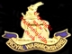 The Royal Warwickshire Fusiliers Lapel Pin 