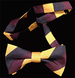 The Prince of Wales Regiment of  Yorkshire (PWO Yorks) Striped Bow Tie