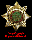 The Cheshire Regiment Lapel Pin 