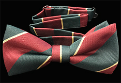 The Worcestershire And Sherwood Foresters (WFRs) Striped Bow Tie