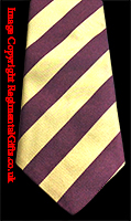 The Worcestershire Regiment Striped Tie
