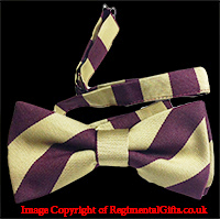 The Worcestershire Regiment Striped Bow Tie