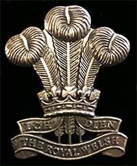 The Royal Welsh Bronze Cap Badge