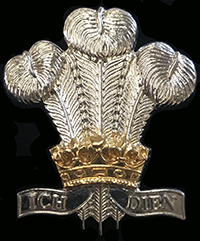 The Royal Regiment Of Wales (RRW) Cap Badge