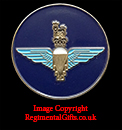 2nd Battalion The Parachute Regiment Lapel Pin 