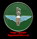 3rd Battalion The Parachute Regiment Lapel Pin 