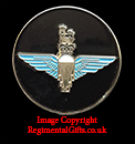 4 Battalion The Parachute Regiment Lapel Pin 