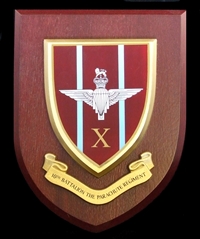 10th Battalion The Parachute Regiment Wall Shield Plaque