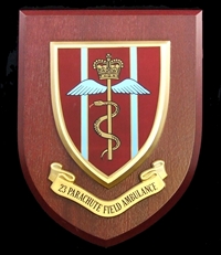 23 Parachute Field Ambulance The Parachute Regiment Wall Shield Plaque