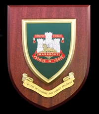 The Devonshire & Dorset Regiment (D&D) Wall Shield Plaque