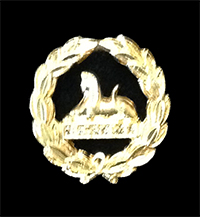Gloucestershire Regiment (Glosters) Back Badge