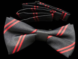 Duke Of Edinburgh's Royal Regiment (DERR) Striped Bow Tie