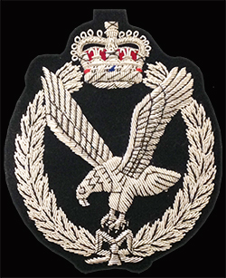 The Army Air Corps (AAC) Blazer Badge