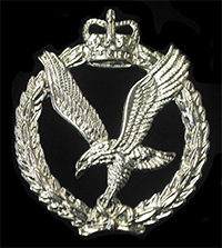 The Army Air Corps (AAC) Cap Badge