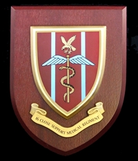 16 Close Support Medical Regiment Royal Army Medical Corps (RAMC) Wall Shield Plaque