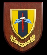 RECCE Troop 41 Commando Royal Marines (RM) Wall Shield Plaque