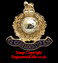 42 Commando Royal Marines (RM) Lapel Pin 