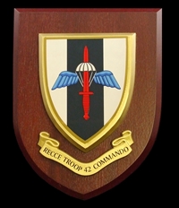 RECCE Troop 42 Commando Royal Marines (RM) Wall Shield Plaque