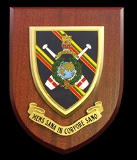 PTI Royal Marines (RM) Wall Shield Plaque
